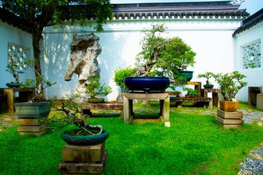 Bonsai Bahçesi - Singapur Şehri