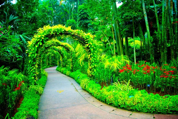 Singapur Halk Botanik Bahçeleri — Stok fotoğraf