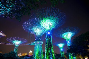 Körfez kenarındaki bahçeler - Singapur
