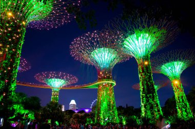 Körfez kenarındaki bahçeler - Singapur