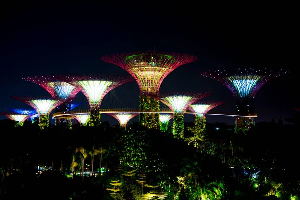 Körfez Kenarındaki Bahçeler Singapur — Stok fotoğraf