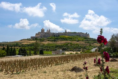Rabat 'taki Tarım Alanları - Malta