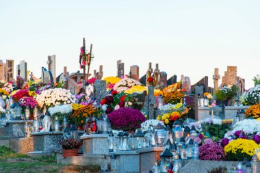 Tüm Azizler günü - Polonya üzerinde çiçekli Graves