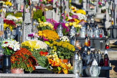Tüm Azizler günü - Polonya üzerinde çiçekli Graves