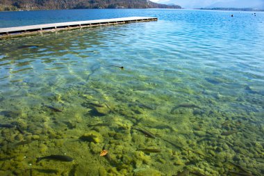 Wolfgang Gölü, Salzburg Eyaleti - Avusturya