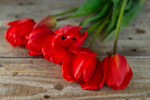 Ramo Tulipanes Rojos Sobre Fondo Madera — Foto de Stock