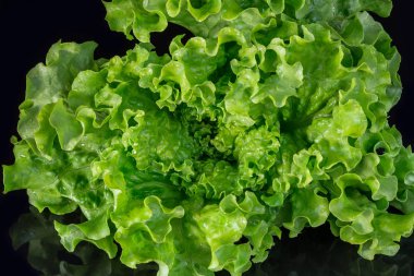 Koyu bir backgroundgreen tarihinde taze yeşil salata