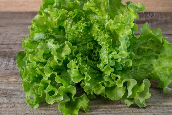 Salad Segar Daun Pada Latar Belakang Kayu — Stok Foto