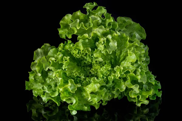 Salad Hijau Segar Pada Backgroundgreen Gelap — Stok Foto