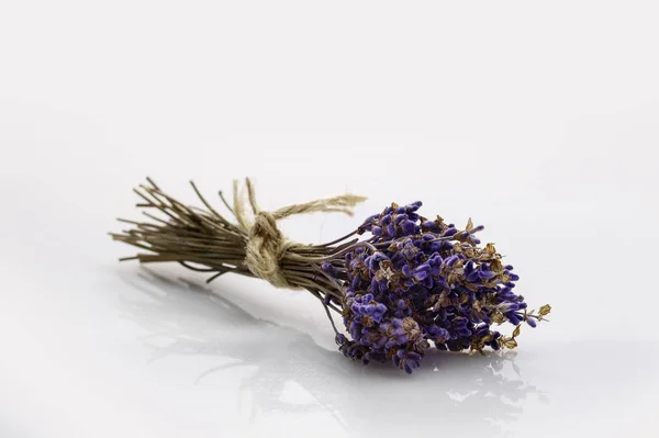 A bunch of dry lavender on a white background