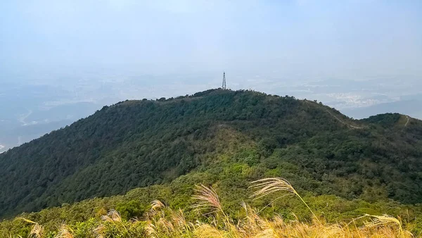 Vue Montagne Macao Sur Shenzhen — Photo