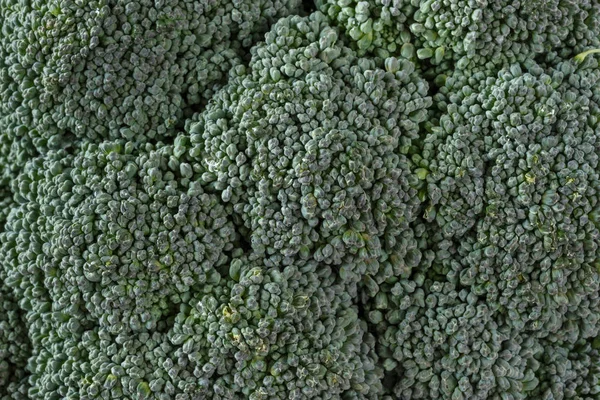 Brokoli Perbungaan Hijau Segar Menutup — Stok Foto