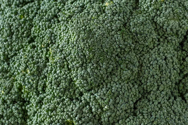 Inflorescencia Brócoli Cerca Verde Fresco — Foto de Stock