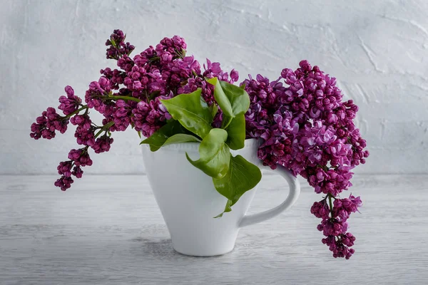 Lilac flowers in a cup