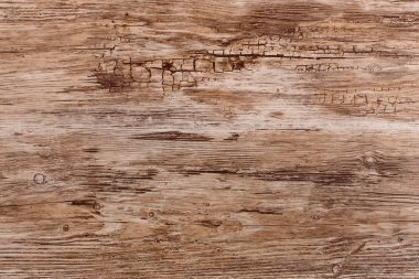 Duvar kağıdı altında doku ve arka plan seçimi, ağaç yapısı