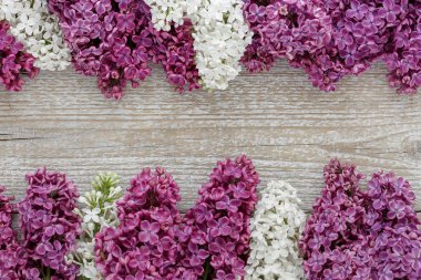 Ahşap bir yüzey üzerinde leylak çiçeklerin arka plan