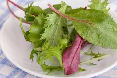 Marul yaprakları bir plaka üzerinde