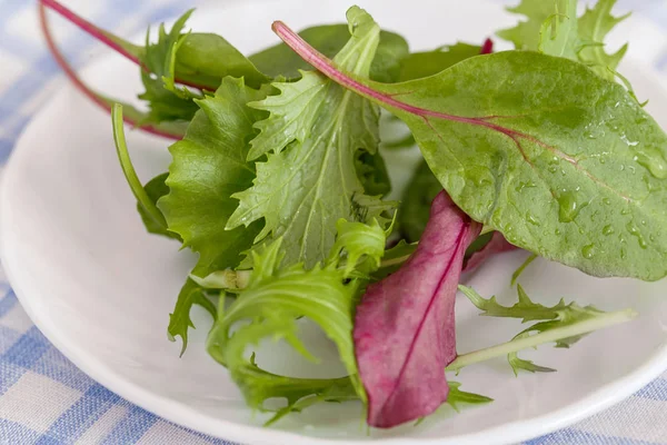 Lettuce leaves on a plate