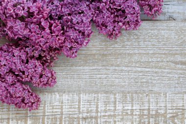Ahşap bir yüzey üzerinde leylak çiçeklerin arka plan