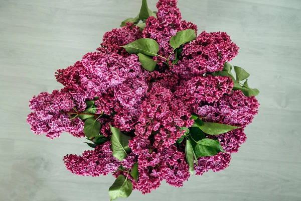 Bouquet of lilac dark purple