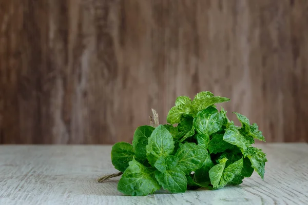 Ett gäng grön färsk lockig mynta — Stockfoto