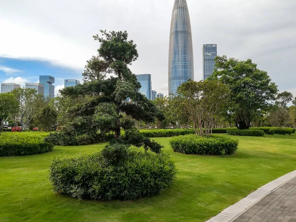 Fragmento de um parque de cidade com arbustos ornamentais — Fotografia de Stock