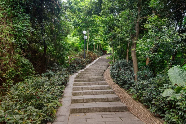 Каменные лестницы в тропическом парке — стоковое фото