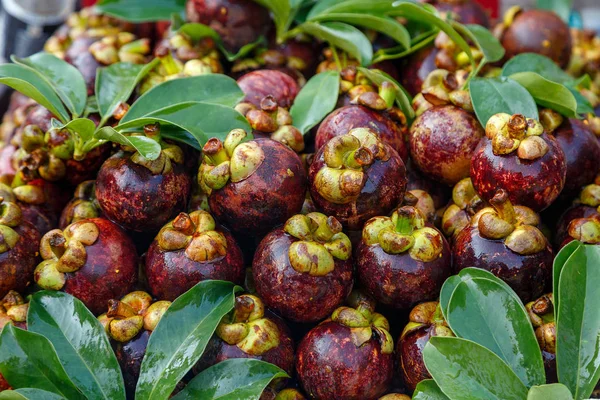 Lots of mangosteen fruit — Stock Photo, Image