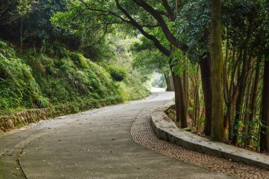 parkta taş sarma yolu