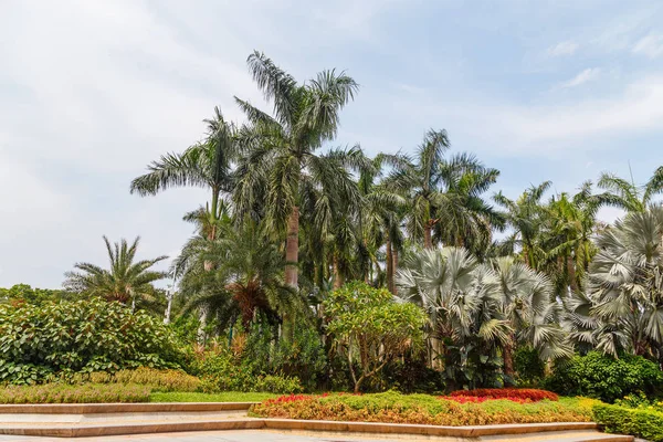 Canto pitoresco do parque no centro da metrópole — Fotografia de Stock