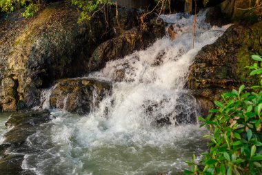 Kayalık bir tepeden su akışları