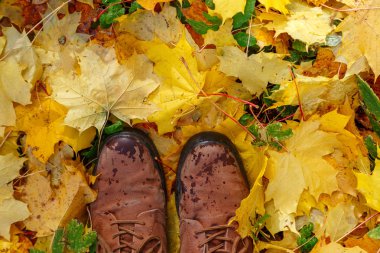 Sarı akçaağaç yapraklarıyla kaplı çimlerin üzerinde duran kahverengi çizmeler.