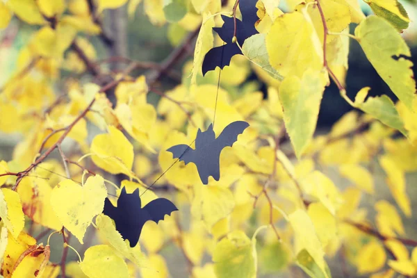 Nahaufnahme Von Halloween Dekorationen Die Zweigen Herbstfarbener Bäume Mit Blättern — Stockfoto