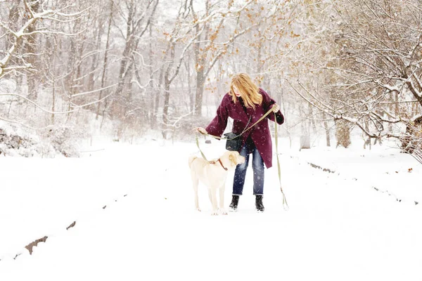 Ομορφιά Νεαρή Γυναίκα Φοράει Χειμωνιάτικα Ρούχα Παίζοντας Χαριτωμένο Σκυλί Στο — Φωτογραφία Αρχείου