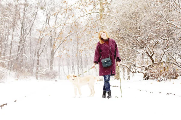 Beauté Jeune Femme Portant Des Vêtements Hiver Jouer Avec Chien — Photo