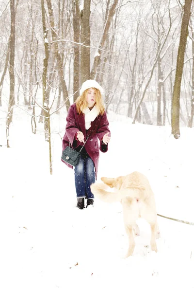 Beleza Jovem Mulher Vestindo Roupas Inverno Brincando Com Cão Bonito — Fotografia de Stock