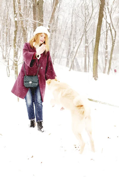 Beauté Jeune Femme Portant Des Vêtements Hiver Jouer Avec Chien — Photo