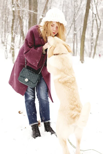 Beauté Jeune Femme Portant Des Vêtements Hiver Jouer Avec Chien — Photo