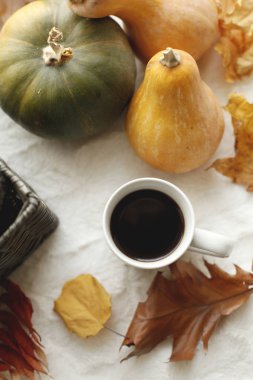 Bir fincan kahve, taze organik kabaklar ve yün Metalik iplik ile ahşap sepet. Noel, Şükran günü tatili evde, dinginlik closeup, hafta sonu kavramı