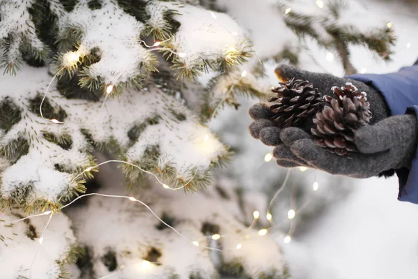 Gros Plan Mains Féminines Dans Des Gants Hiver Tenant Des — Photo