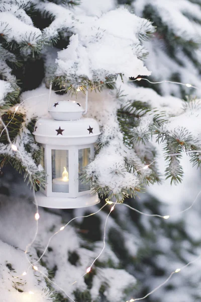 Lanterne Bougie Suspendue Aux Branches Arbres Enneigés Crépuscule Temps Noël — Photo