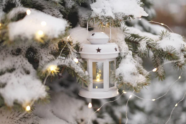 キャンドル ランタンは 夕暮れ時に雪に覆われた木の枝からぶら下がっています クリスマスの時期 — ストック写真