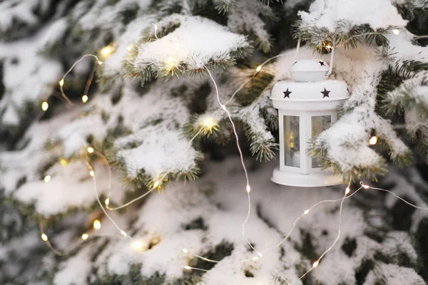 Lanterne Bougie Suspendue Aux Branches Arbres Enneigés Crépuscule Temps Noël — Photo