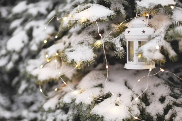 Свічковий Ліхтар Звисає Гілок Сніжного Дерева Сутінках Різдвяний Час — стокове фото