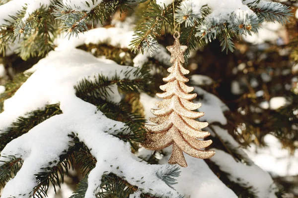 Incroyable Sapin Noël Sur Branche Sapin Neigeux — Photo