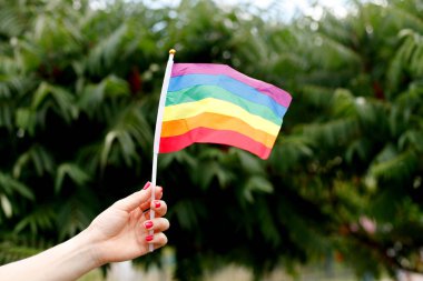 el Eşcinsel gurur Lgbt Gökkuşağı bayrağı dalgalar 
