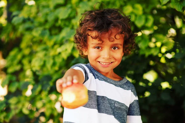 Child Kid Eating Apple Fruit Outdoor Autumn Fall Nature Healthy — Stock Photo, Image