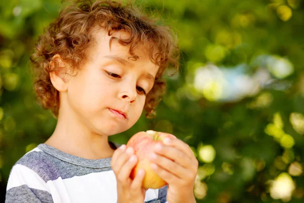 Niño Comiendo Fruta Manzana Aire Libre Otoño Otoño Naturaleza Saludable —  Fotos de Stock