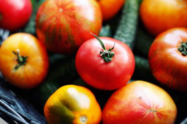 sepette taze olgun domates ve salatalık, yakın