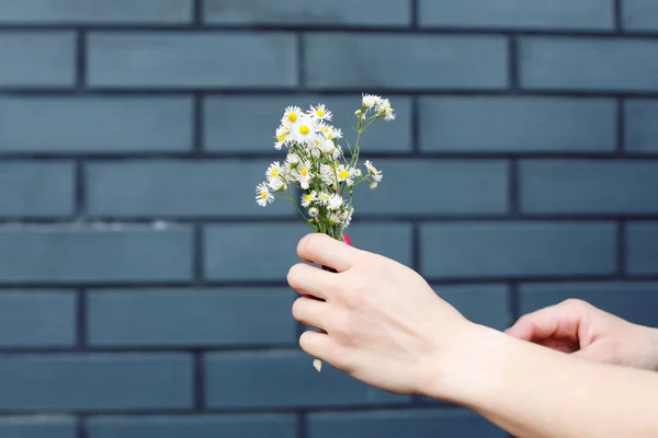 Vista Cercana Mujer Sosteniendo Flores Blancas — Foto de Stock